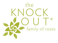 Knock Out Rose Series