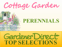 Perennials for Cottage Gardens