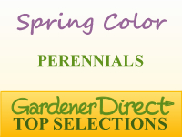 Perennials for Spring Color
