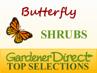 Shrubs - Butterfly Attracting