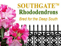 Southgate Rhododendron Series