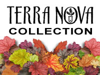 Terra Nova Plant Collection