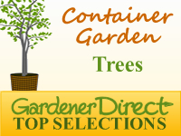 Trees for Container Gardens