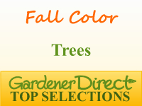 Trees for Fall Color