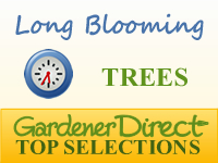 Trees - Long Blooming