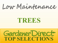 Trees - Low Maintenance