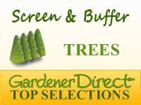 Trees for Screens & Buffers