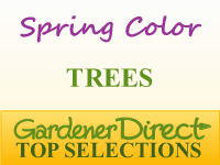 Trees for Spring Color
