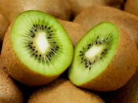 Hardy Kiwi