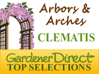 Clematis - Arbors & Arches
