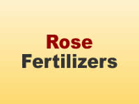 Fertilizers - Rose