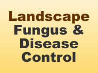 Fungus & Disease Control - Landscape