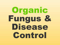 Fungus & Disease Control - Organic