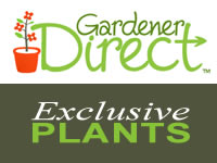 Gardener Direct Exclusive Plants
