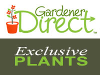 Special Plant Collections - Buy Plants Online | Gardener Direct