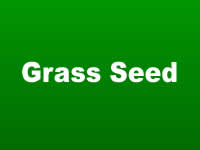 Grass Seed