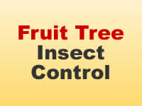 Insect Control - Fruits & Vegetables