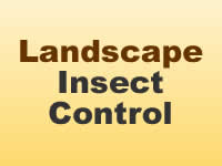 Insect Control - Landscape