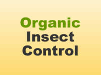 Insect Control - Organic