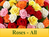 Roses - All