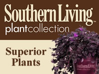 Southern Living Plant Collection