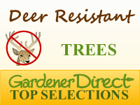 Trees - Deer Resistant