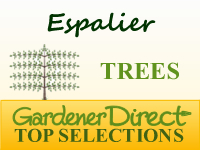 Trees - Espalier