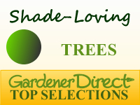 Trees - Shade Loving