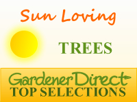 Trees - Sun Loving