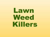 Weed Killers - Lawn