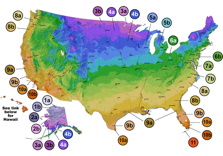 USDA Zones Plant Hardiness. USDA Zone Map. Аляска USDA Zones. USDA: шестая зона.